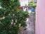 Immagine 16