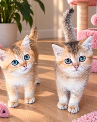 Cuccioli di Brutish