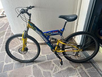 Bicicletta per ragazzi Trubbiani