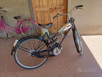 ACQUILOTTO BIANCHI ANNO 1950/51