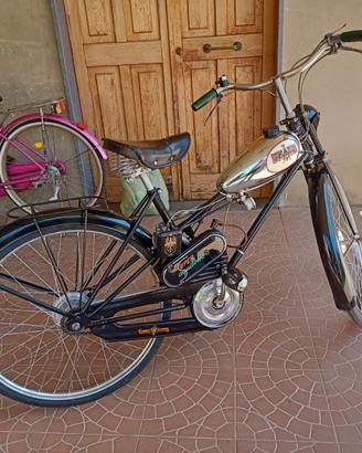 ACQUILOTTO BIANCHI ANNO 1950/51
