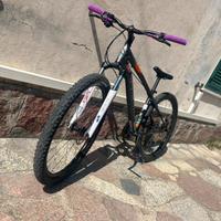 rokrider st 120 modificata