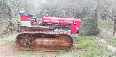 Trattore massey ferguson cingolato c164