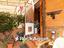 Immagine 23