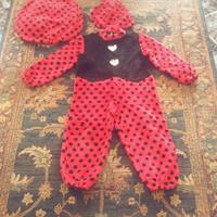 Vestitino di carnevale da coccinella