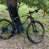 Mtb Olympia Iron carbonio