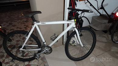 mtb uomo . taglia 26