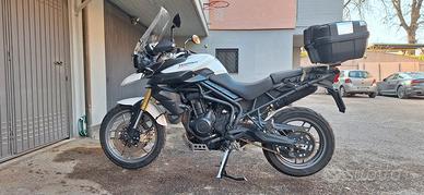 triumph tiger 800 2012 