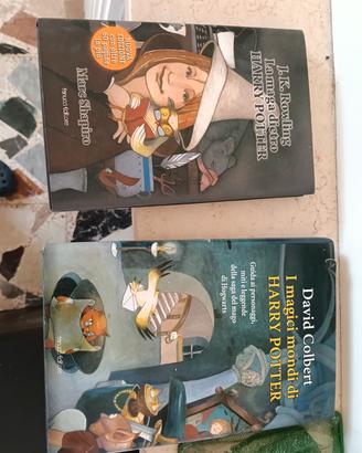 libri su Harry Potter 
