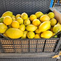 limoni