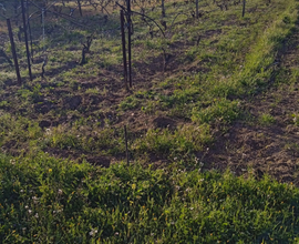 Terreno loc. Su Tremini Selargius