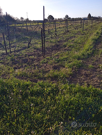 Terreno loc. Su Tremini Selargius