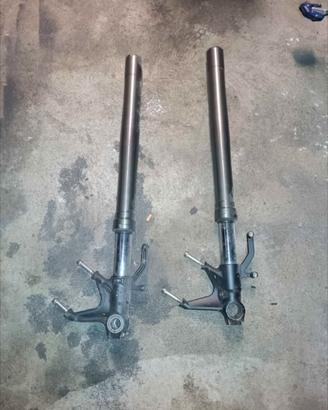 Forcelle sospensione Kawasaki  09/13