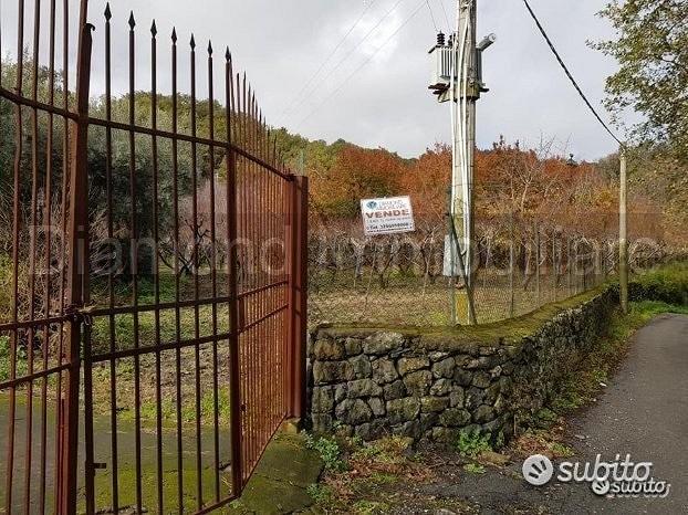 Terreno 5 ettari con fabbricato Piedimonte Etneo - Vista 5