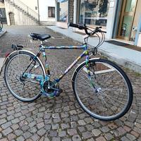 Bici da uomo