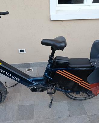 bici cargo elettrica engwe le20