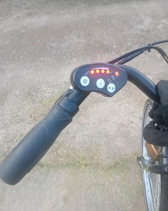 bicicletta 