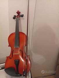 violino