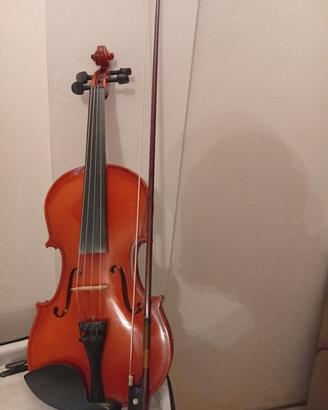 violino
