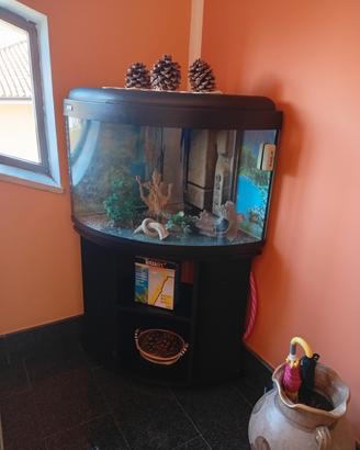 acquario angolare con vetro curvo