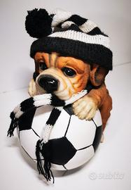 salvadanaio cane cagnolino