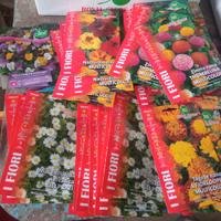 lotto semi fiori vari