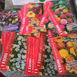 lotto semi fiori vari