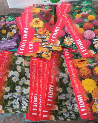 lotto semi fiori vari