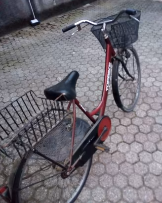 Bici più cronometro