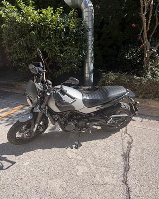 Benelli Leoncino Trail 500
