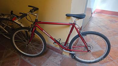 bici MTB