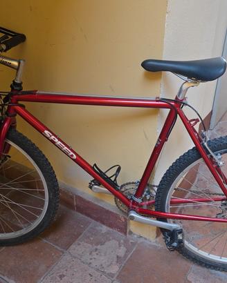 bici MTB