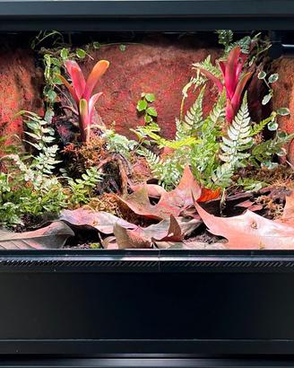Terrario bioattivo