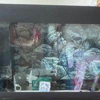 Acquario ferplast dubai 80