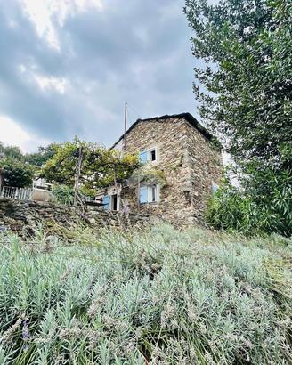 CASA INDIPENDENTE A LESSOLO