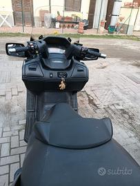 Burgman executive 650