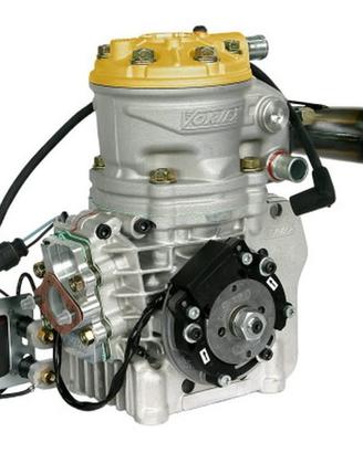 Vortex RVA testa oro kart 100cc