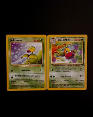 Bellsprout-Weepinbell Carte Pokemon