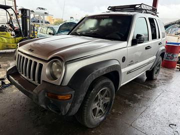 Ricambi Jeep Cherokee liberty sport 3.7 B v6 ECG