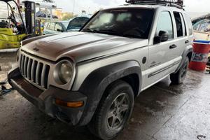 Ricambi Jeep Cherokee liberty sport 3.7 B v6 ECG