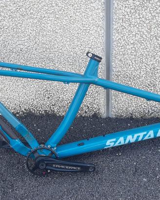 Santa Cruz Chameleon