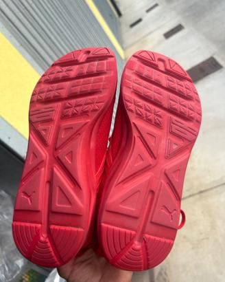 Scarpe  puma