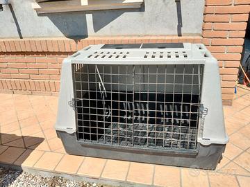 gabbia cani 