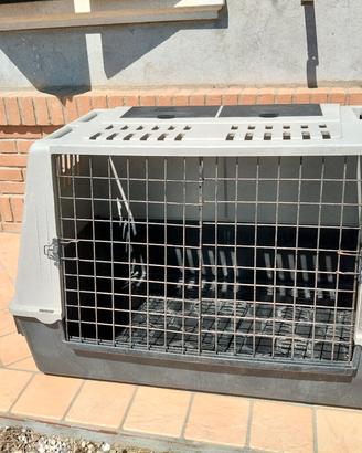 gabbia cani 