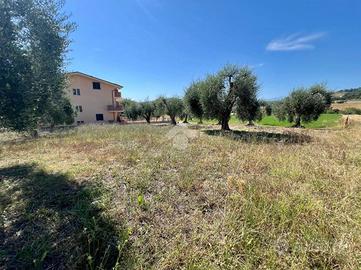 TERRENO A CAMPLI