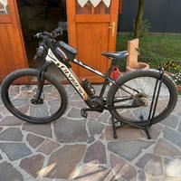 Bici elettrica adulto