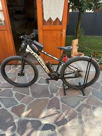 Bici elettrica adulto