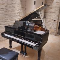 Pianoforte Schulze e Pollmann