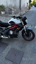 Benelli bn302 del 2016