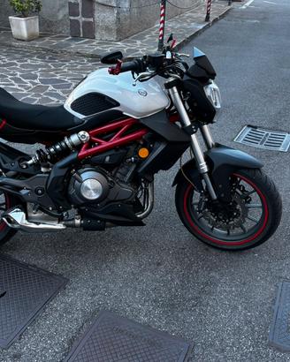 Benelli bn302 del 2016